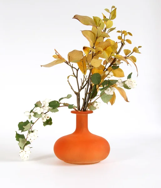 Buquê de outono em um vaso com vidro colorido em um fundo branco — Fotografia de Stock
