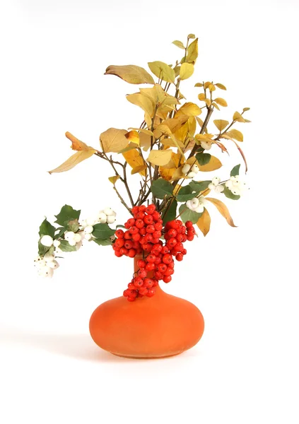 Autumn bouquet in a vase with colored glass on a white background — Stock Photo, Image