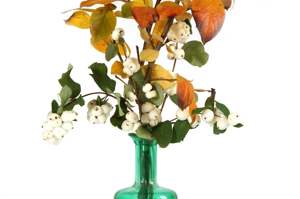 Buquê de outono em um vaso com vidro colorido em um fundo branco — Fotografia de Stock