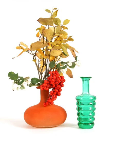 Ramo de otoño en un jarrón con vidrio de color sobre un fondo blanco — Foto de Stock