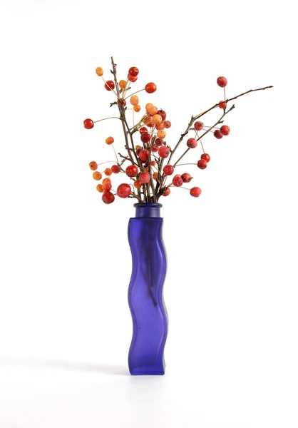 Stilleben av en gren med små äpplen i färgat glasvas — Stockfoto