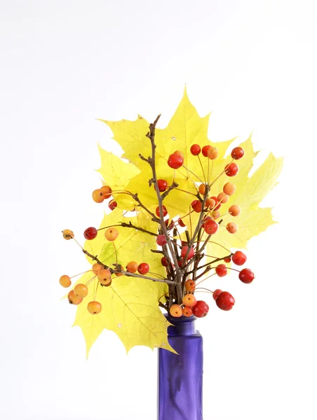 小さなリンゴと、gl の色にカエデの葉と枝の秋の花束 — ストック写真
