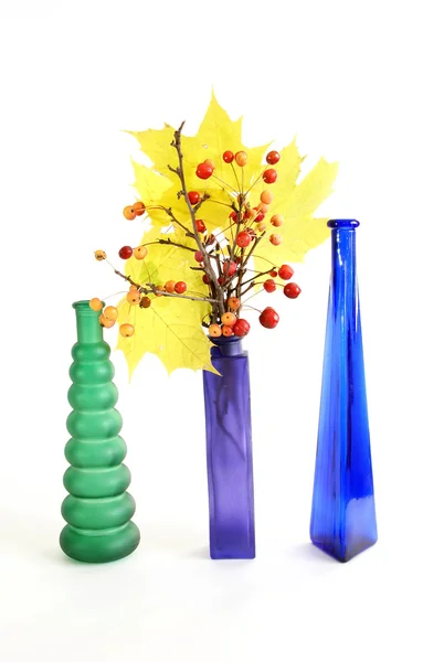 Φθινόπωρο μπουκέτο των υποκαταστημάτων με τα μικρά μήλα και τα φύλλα σφενδάμου, να χρώμα ένα gl — Φωτογραφία Αρχείου