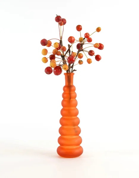 着色されたガラス花瓶に小さなリンゴの枝の静物 — ストック写真