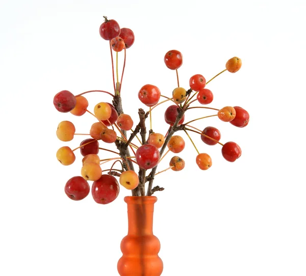 Natureza morta de um ramo com pequenas maçãs em vaso de vidro colorido — Fotografia de Stock