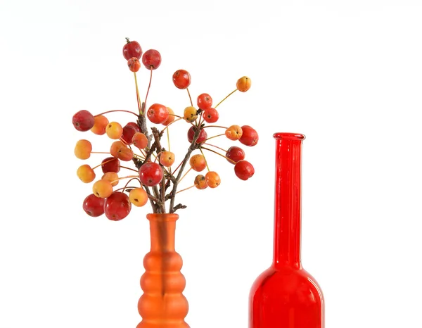Натюрморт гілки з маленькими яблуками у кольоровій скляній вазі — стокове фото