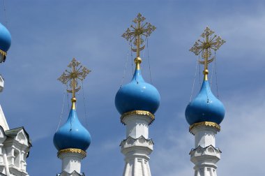 Ortodoks Kilisesi'nin kubbe. Moscow, Rusya Federasyonu.