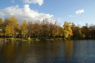 sonbahar manzarası ile bir gölet, vorontsov Parkı, moscow, Rusya Federasyonu