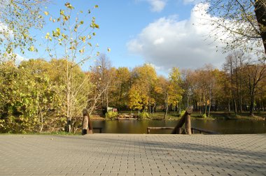 sonbahar manzarası ile bir gölet, vorontsov Parkı, moscow, Rusya Federasyonu