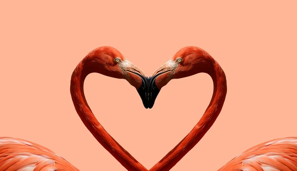 stock image Postcard Valentine's Day with pink flamingos