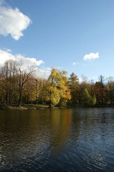 Podzimní krajina s rybníkem, vorontsov park, Moskva, Rusko — Stock fotografie