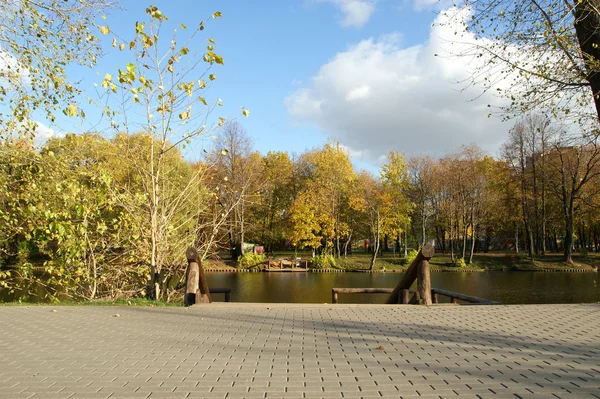 Herbstlandschaft mit Teich, Woronzow-Park, Moskau, Russland — Stockfoto