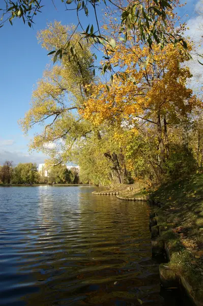 Jesień krajobraz z stawem, Woroncow park, Moskwa, Federacja Rosyjska — Zdjęcie stockowe