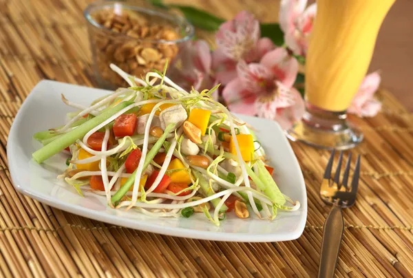 Verse Aziatische salade met kip — Stockfoto