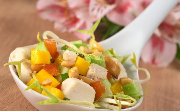 Salada asiática fresca com frango — Fotografia de Stock