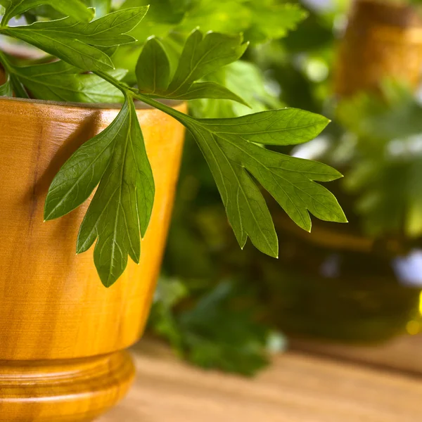 Parsley with Wooden Mortar — Stock Photo, Image