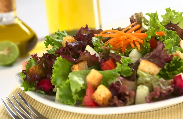 Свежий салат с гренками — стоковое фото