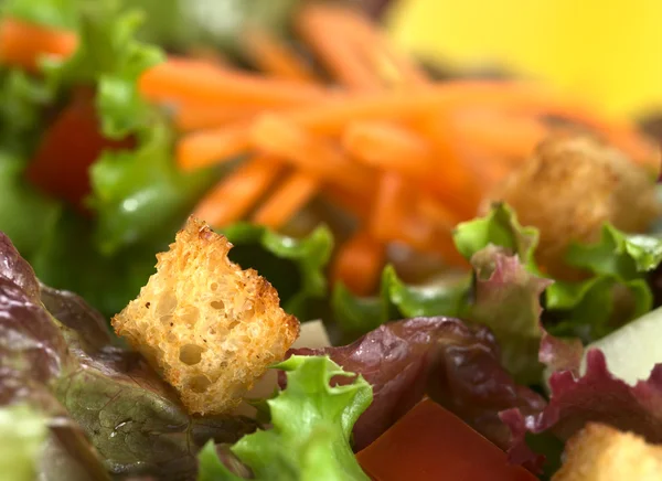 Crouton pada Salad — Stok Foto
