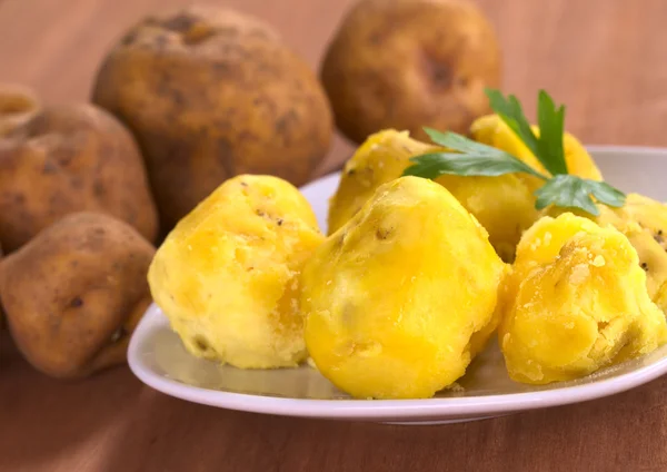Peruánské brambor žluté — Stock fotografie