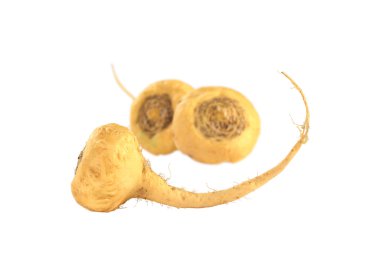 Peruvian Ginseng (Maca) clipart