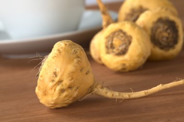 Peruvian Ginseng (Maca) clipart