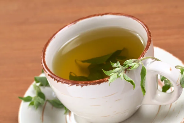 Травяной чай из муны — стоковое фото