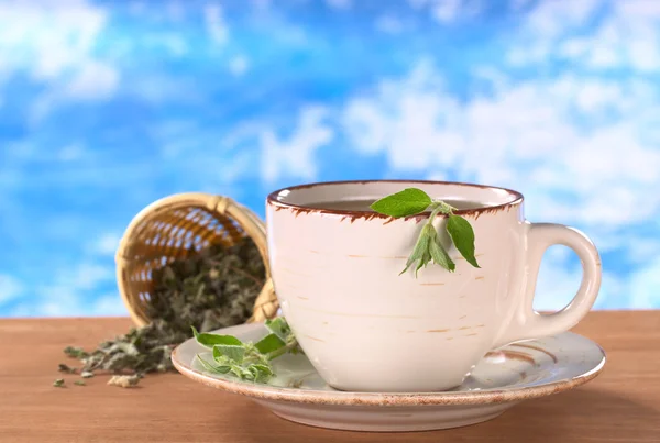 Τσάι από βότανα από muna — Φωτογραφία Αρχείου