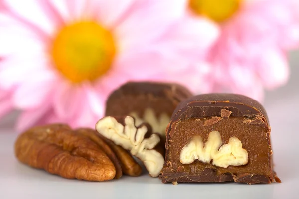 Pecan Nut Truffle — Stock Photo, Image