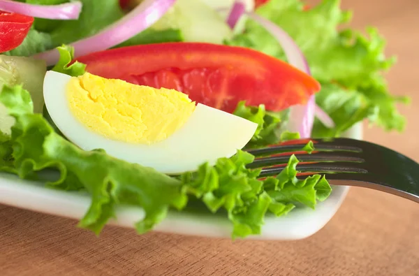 Fresh Salad with Boiled Egg — Stock Photo, Image