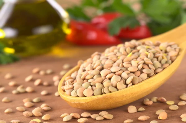 Raw Lentils on Wooden Spoon — Stock Photo, Image