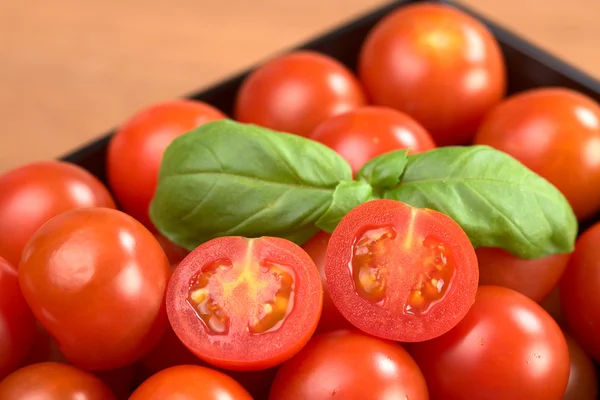 Tomates cereja com folha de manjericão — Fotografia de Stock