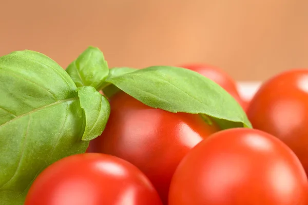 Albahaca sobre tomates cherry — Foto de Stock