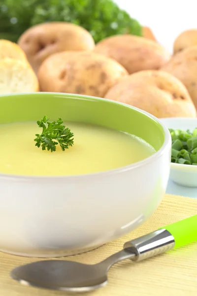 Sopa de patata — Foto de Stock