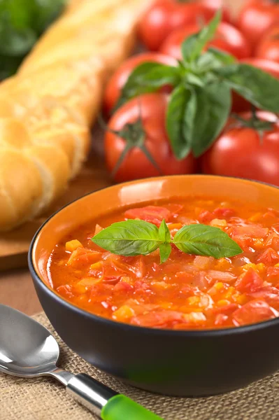 Soupe de tomates chunky — Photo
