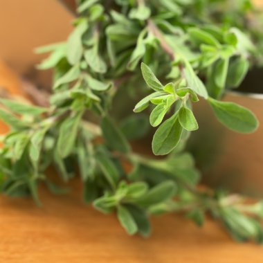 Marjoram with Mezzaluna clipart