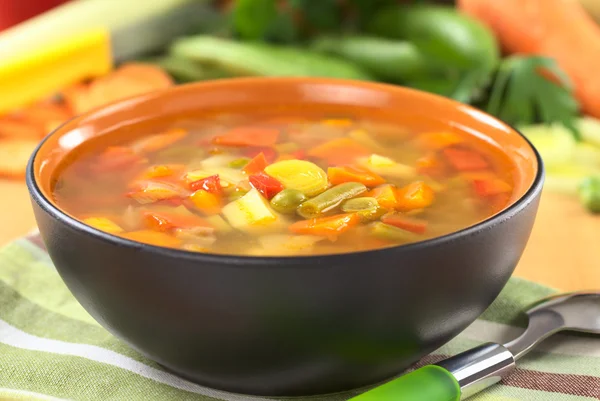 Verse plantaardige soep — Stockfoto