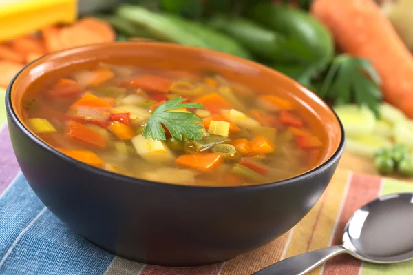Fresh Vegetable Soup — Stock Photo, Image