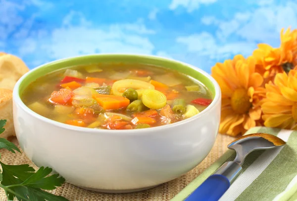 Soupe de légumes frais — Photo