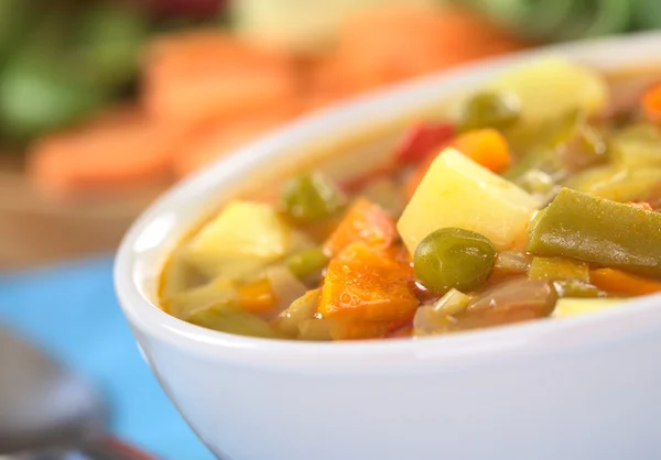 Νωπά σούπα λαχανικών — Φωτογραφία Αρχείου
