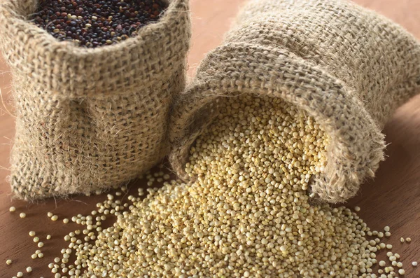 Grãos de quinoa brancos crus — Fotografia de Stock