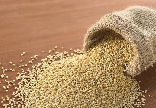 Rohe weiße Quinoa-Körner — Stockfoto