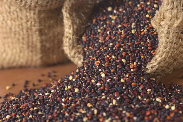 Çiğ kırmızı quinoa tahıl — Stok fotoğraf