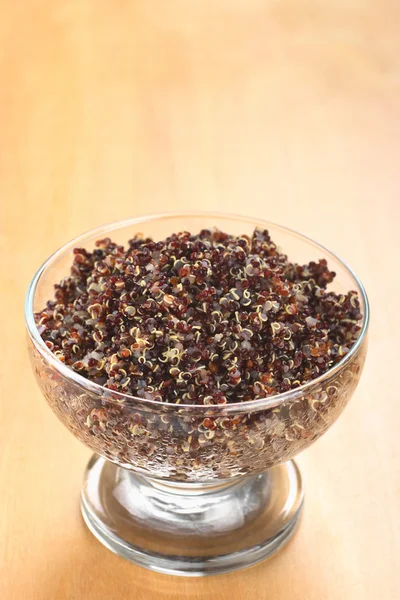Kırmızı quinoa pişmiş — Stok fotoğraf