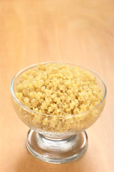 Quinoa branca cozida — Fotografia de Stock