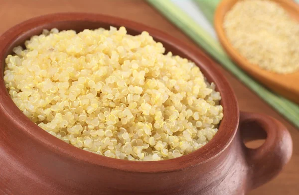 Gekookte witte quinoa in rustieke kom — Stockfoto