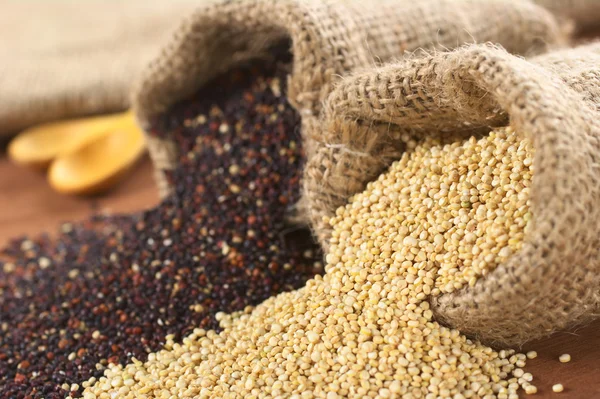 Rå quinoa spannmål i jute säck Royaltyfria Stockbilder