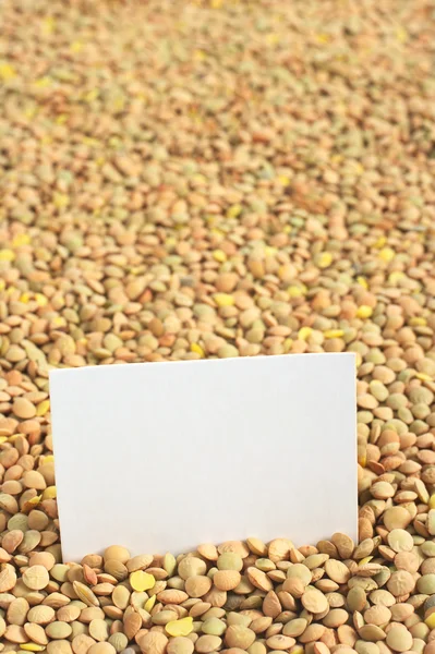 Syrové sušené čočka s prázdnou kartu — Stock fotografie