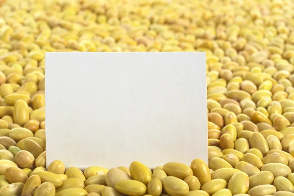 原料金丝雀豆与空白卡 — 图库照片