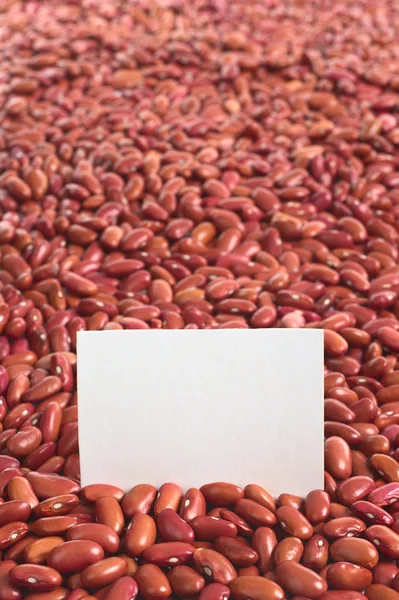 Feijões de rim vermelho cru com cartão em branco — Fotografia de Stock