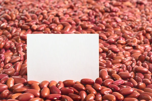 Frijoles rojos crudos con tarjeta en blanco — Foto de Stock